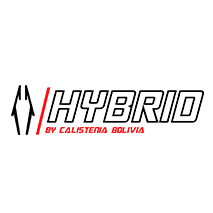 Hybrid