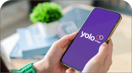 Contacto YOLO pago