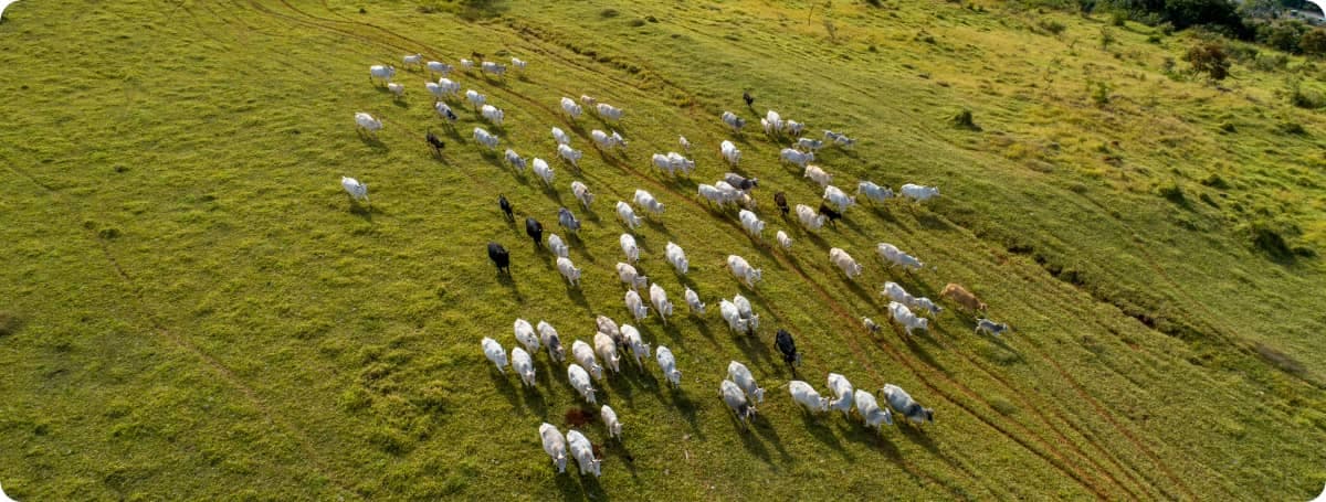 Tarjeta de Crédito Internacional